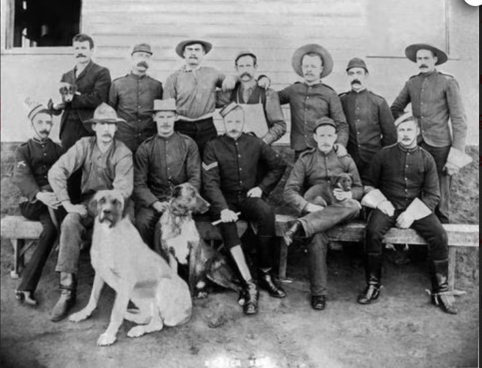 Book - The North-West Mounted Police 1873-1885